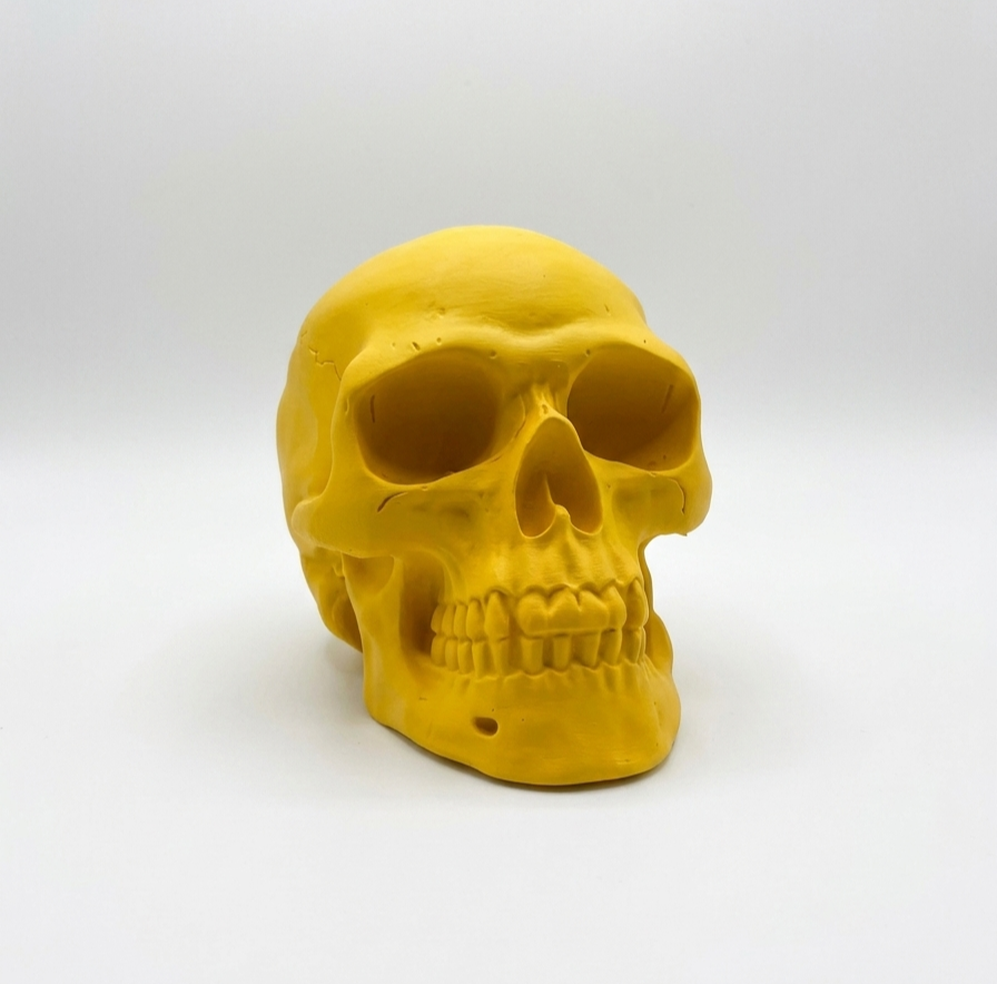 Sarı Kafatası 3D Baskı Dekoratif Figür